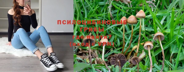 PSILOCYBIN Осинники