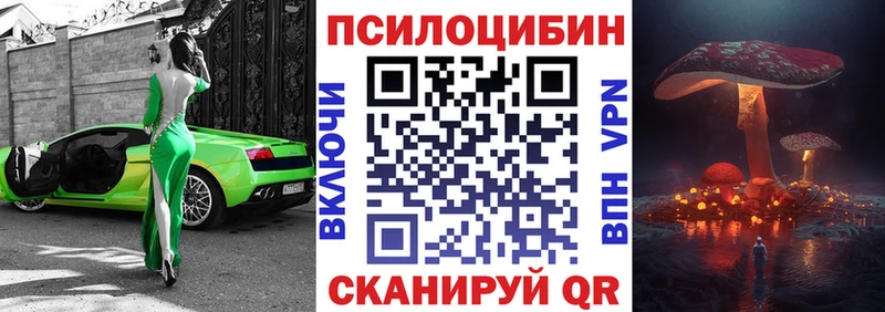 MEGA как войти  Ревда  Псилоцибиновые грибы MAGIC MUSHROOMS 