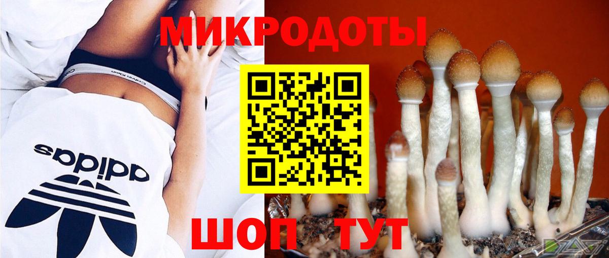 Ревда  Галлюциногенные грибы GOLDEN TEACHER  как найти наркотики  Вход с VPN 