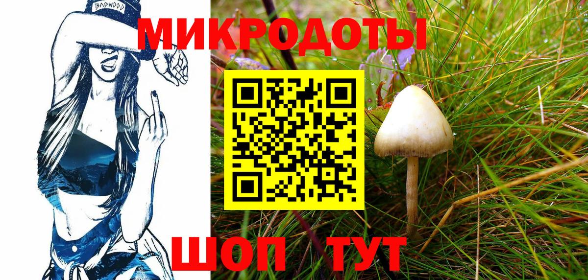 Псилоцибиновые грибы GOLDEN TEACHER Ревда